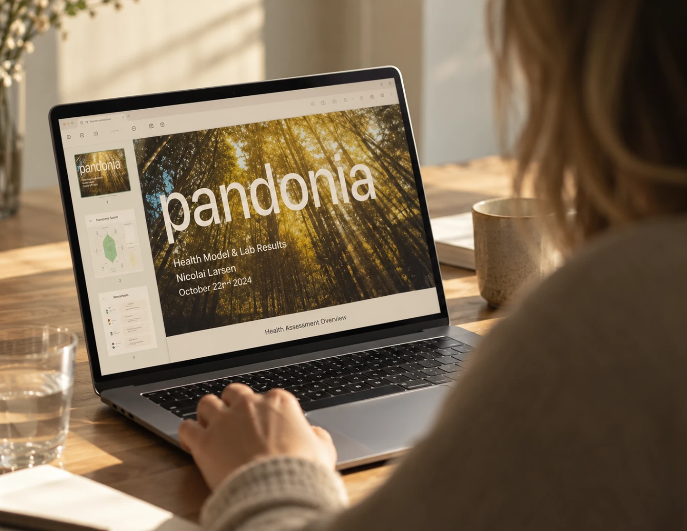 En kvinde ser Pandonias rapport på en bærbar computer.