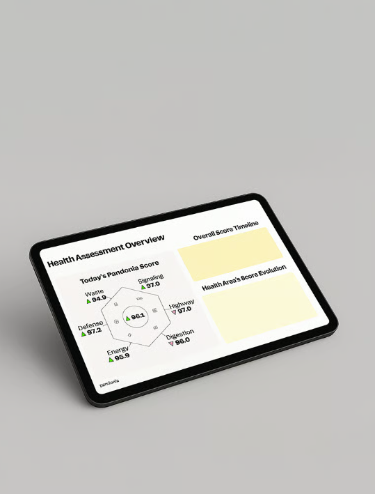 Pandonia-rapporten vist på en tablet.